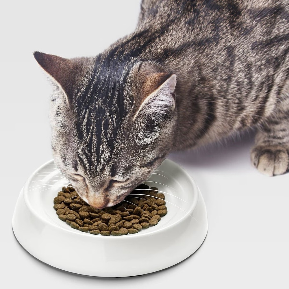 Set of 2 CatGuru Cat & Dog Food Dishes